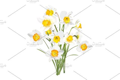 Vector Object Brushes Daffodils Daffodil Bouquet Daffodils Vector