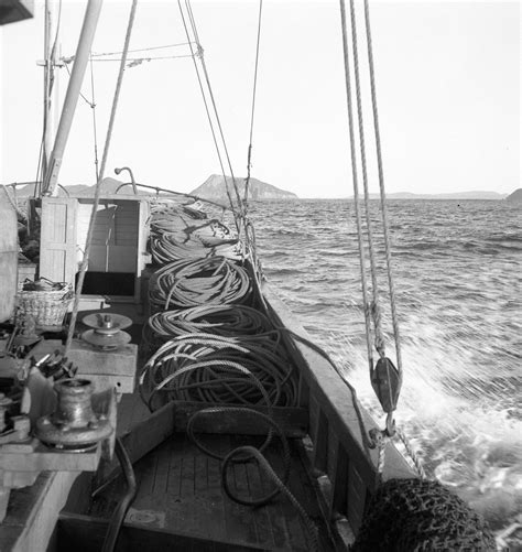 Knowing that the fish may one day swim up the wall and reach the pipe, fills me with determination. Game fishing - Trawling - Cabbage Tree Island in background | Living Histories
