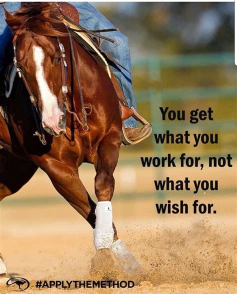 Pin By Shannon Quick On Horse Quotes Inspirational Horse Quotes