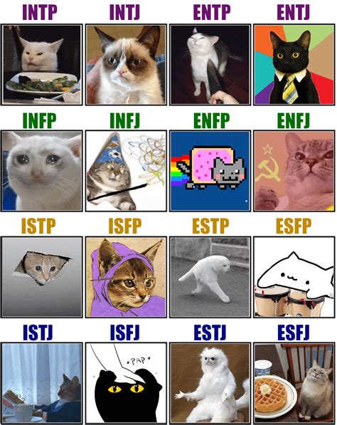 16 Types As Meme Cats Rmbti