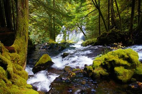 Panther Creek Falls Trailhead Hiking In Portland Oregon And Washington