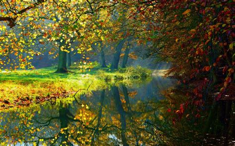 Autumn River Trees Nature Scenery Sunlight Wallpaper Nature And