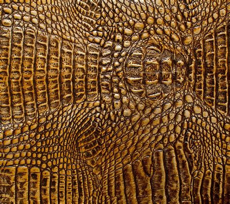 Crocodilia Croc Crocodile Leather Texture Hd Wallpaper Peakpx