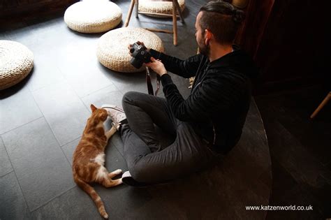 You And Meow The Zen Cat Cafe In Bristol Part 2 Katzenworld