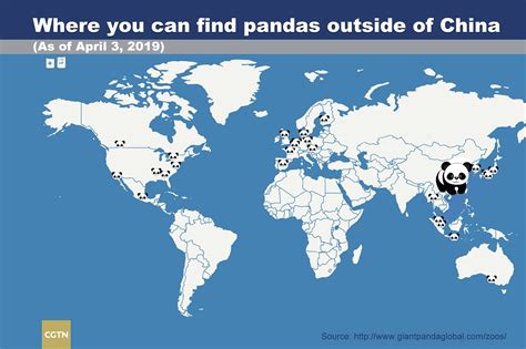 How Many Pandas Are In The World 2024 Alina Caressa