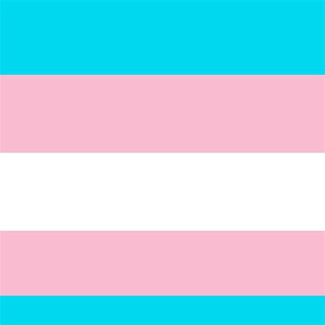 Pixilart Trans Flag By Gay Man4