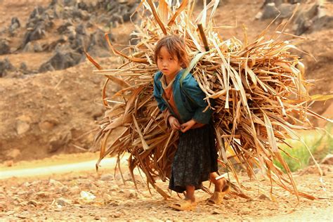 South asian child laborers can be found in a variety of industries: III Global Conference on Child Labour - Brasilia, 8-10 ...