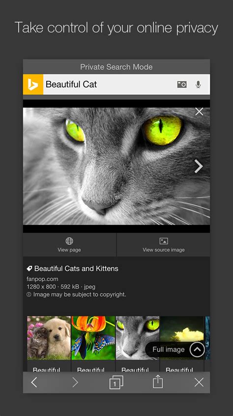 Bing Search App Gets Updated With 'Bing Interests' - iClarified