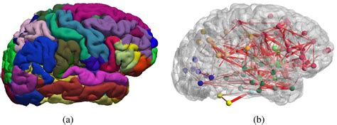 How Brain Networks Change With Age