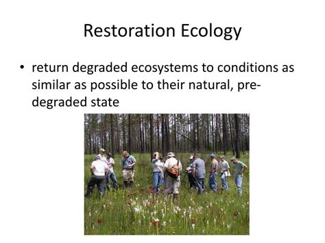 Ppt Conservation Biology And Restoration Ecology Powerpoint