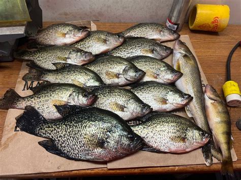 Dubay Lake Wisconsin Fishing Reports
