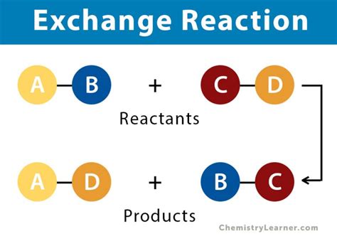 Exchange Reaction: Definition, and Example