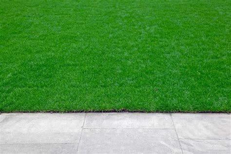 How To Edge Lawn Care Guide By Lawn Love