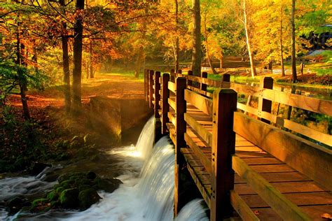 Wooden Bridge Forest Autumn Leaves Hd Nature 4k Wallp