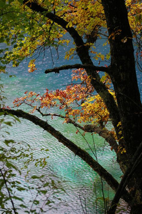 Free Stock Photo Of Autumn Colors At Cyan Blue Lake Photoeverywhere