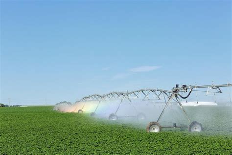 A Guide To Increasing Water Efficiency In Farming