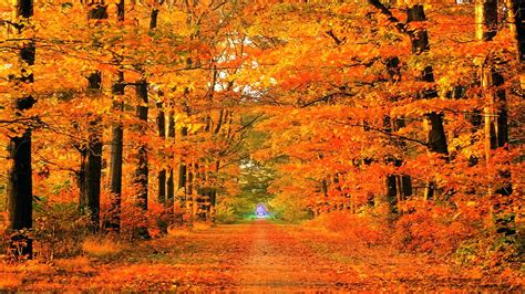 Fall Backgrounds For Computer Wallpaper Cave