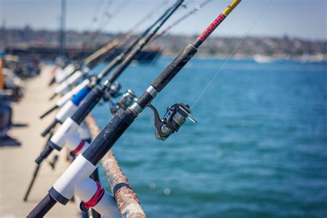 Pier Fishing Rod Setups Beginners Guide