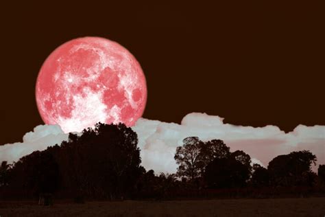 Youll Be Able To See The Strawberry Supermoon On Thursday Heres How