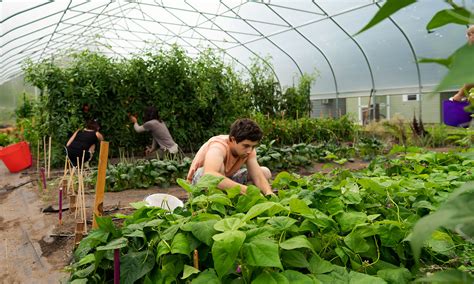 Organic Farm Grows Future Leaders While Reaping Local Awards 2020