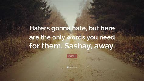 Themeseries Motivational Quotes On Haters