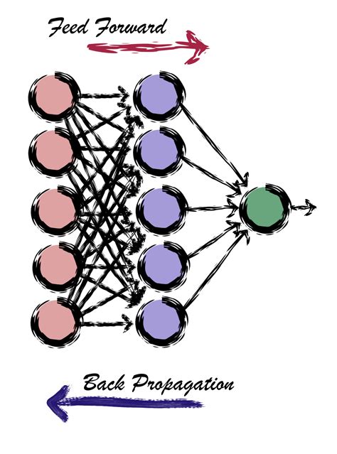 Artificial Neural Network Beginners Guide To Ann Understanding Networks