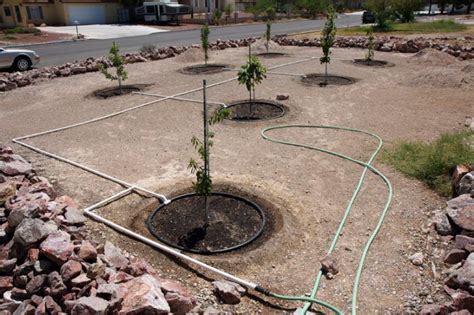 Who are the experts in thai garden design? Tree Irrigation | Tree irrigation, Irrigation, Garden supplies