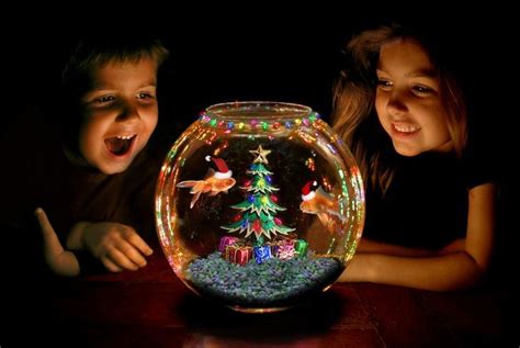 Christmas Fish Aquarium Decorate Ideas Wishforpets