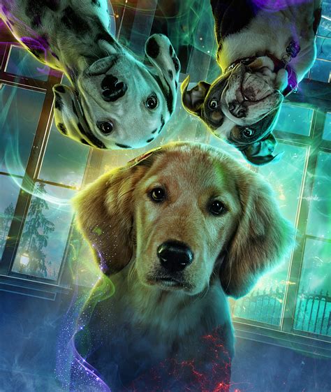 Phantom Pups Netflix On Behance