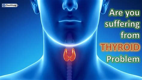 10 Signs That You Could Have An Underactive Thyroid Healthprimetips