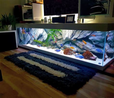 3d Aquarium Backgrounds And Fish Tank Decorations Aquadecor Fish Tank
