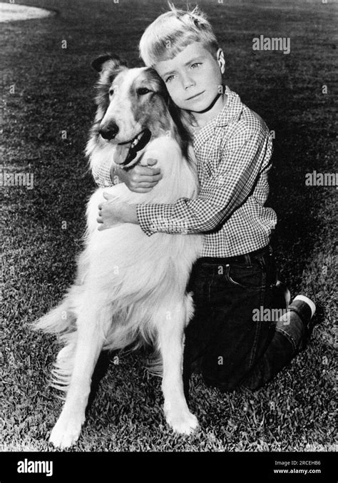 Jon Provost Lassie Lassie Circa 1958 Photo Credit Cbs Stock