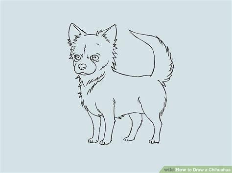 Draw the shape of the dog's body and neck. How to Draw a Chihuahua (with Pictures) - wikiHow