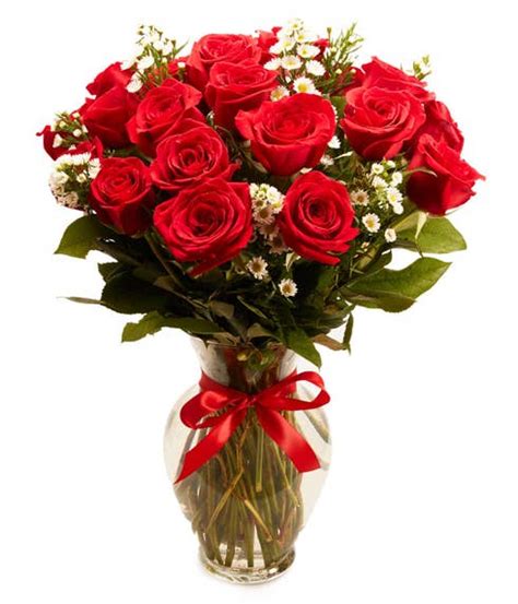 18 Long Stemmed Red Roses At Send Flowers