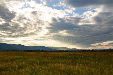 Natural Background Field Of Grass Mountains And Sky Stock Image