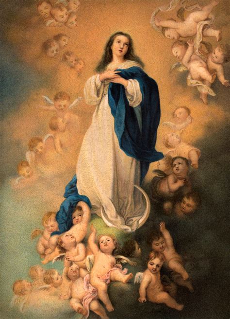 Assumption Of Mother Mary Wallpapers Wallpaper Cave