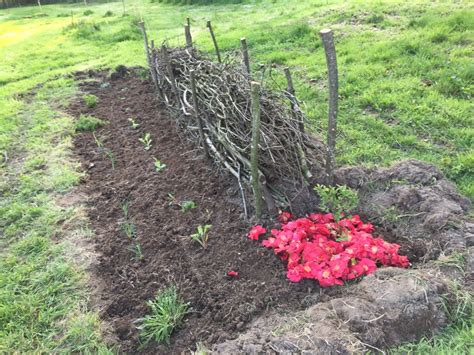 Allez zou, c'est parti, malgré un début d'année maussade et quelques retards dans les plantations à cause du mauvais temps, et particulièrement des dernières gelées fin mai, le boncoinsanté est à. Le Bon Coin Bretagne Jardinage Génial Permaculture Au ...