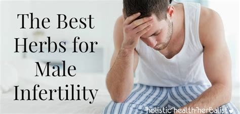 The Best Herbs For Male Infertility Holistic Health Herbalist