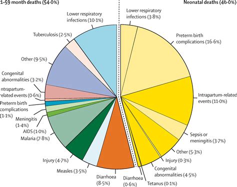 Global Regional And National Causes Of Under 5 Mortality In 200019