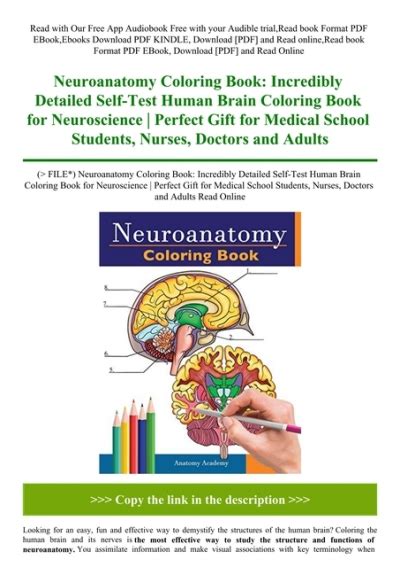 Pdf File Neuroanatomy Coloring Book Incredibly Detailed Self Test