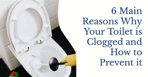 6 Reasons Why Your Toilet Is Clogged And How To Prevent It