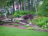 Photos of Backyard Landscaping Quotes