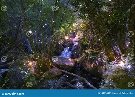 The Magic Forest Of The Fireflies Stock Image Image Of River Centre