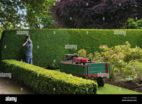 Triming Hedge Hi Res Stock Photography And Images Alamy