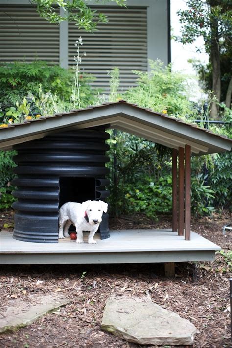 10 Creative Dog House Design Ideas