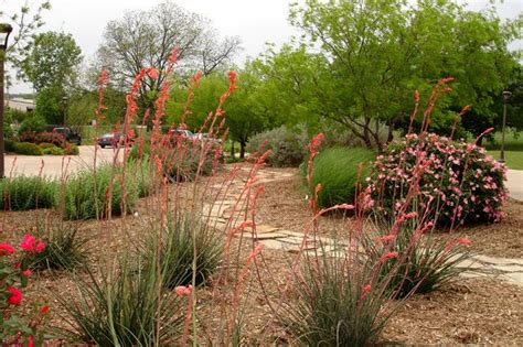 Texas Smartscape Garden Inspiration Gallery Xeriscape Landscaping