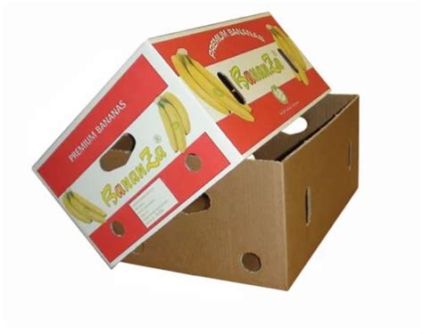 Corrugated Paper Fruit Boxes At Rs 40kilogram Fruit Storage Boxes In