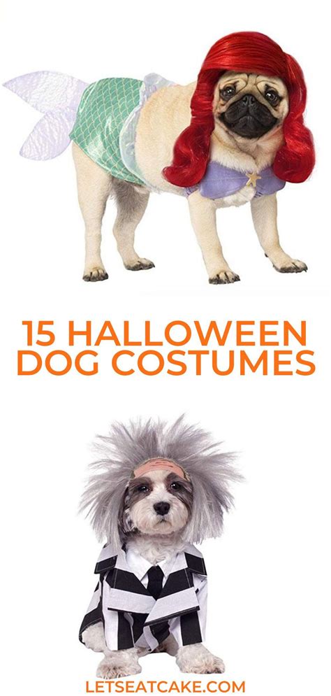 15 Funny Dog Costumes Thatll Make Everyone Say Yep Youre A Crazy Dog
