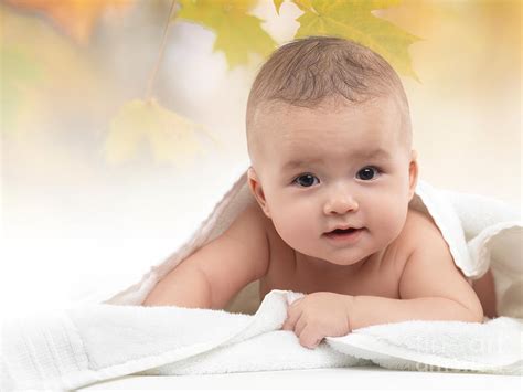 Cute Four Month Old Baby Boy Photograph By Maxim Images Prints