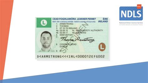 Buy Irish Learners Permit The Fastest 1st Irish Documents